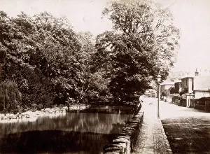 Bonchurch: Bonchurch Pond, Isle of Wight
