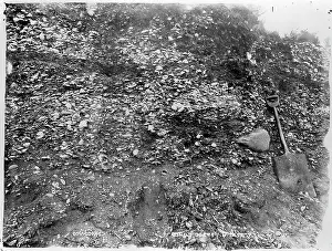 Magellan: Bone digging, Elizabeth Island, Strait of Magellan