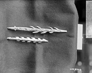 Harpoon: A bone harpoon heads on cloth