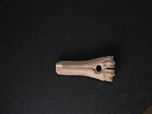 Mattock: Bone mattock, Orkney Museum, Kirkwall, Mainland, Orkney
