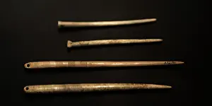 Pins: Bone pins. Neolithic. Denmark