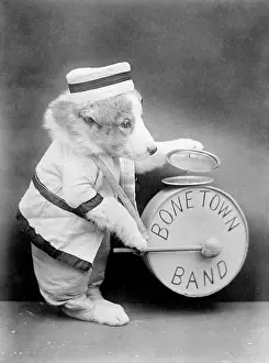 Doggy: BONE TOWN BAND