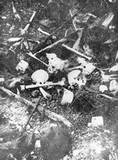 Ancre: Bones 1916