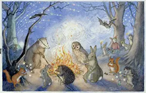 Bats: Bonfire Night - badger, rabbits, hedgehogs, etc