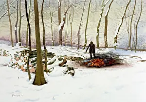 Bonfires: Bonfire in the Snow
