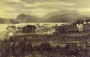 Bonne: Bonne Bay - Newfoundland