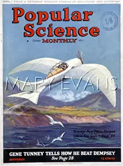 Ornithopter: BONNEY'S ORNITHOPTER