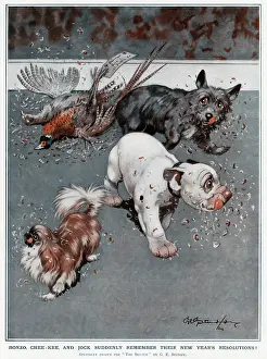 Chee: Bonzo, Chee-Kee and Jock by George Studdy