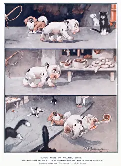 Chops: Bonzo Keeps on Walking Until by George Ernest Studdy