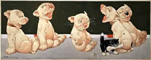 Studdy: Five Bonzos laugh as a small black kitten takes their bone