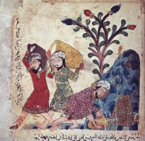 Dimna: The Book of Calila and Dimna