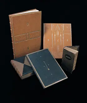 Imprinting: Book cover