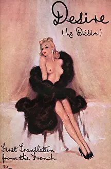 Royer: Book cover by David Wright, Desire