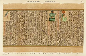 Coot: BOOK OF THE DEAD/28