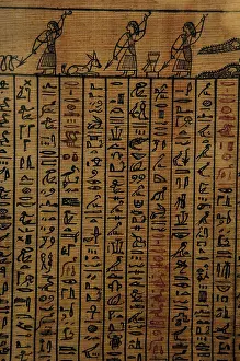 Alphabet: Book of the Dead. Fragment. Egypt