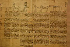 Diagram: Book of the Dead. Fragment of a papyrus. Egypt