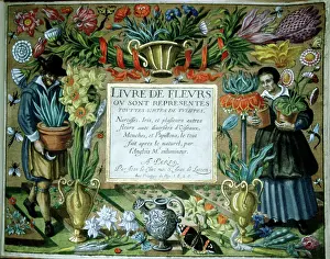 Langlois: Book of flowers with all kinds of Tulips