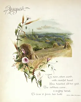 Stook: Book illustration -- August