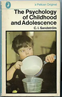Sandstrom: Book Jacket Design - Roger Mayne