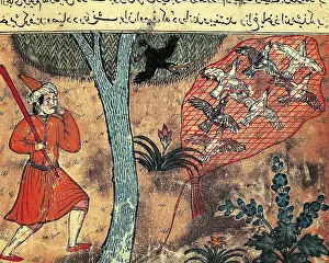 Kalila: The Book of Kalila and Dimna