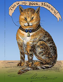 Sketchbook: This Is My Book, Miau-u-u!, 1859