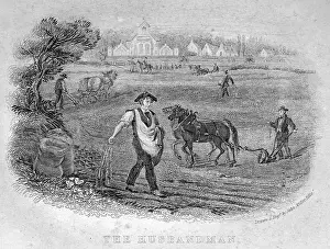 Plough: Book of Trades, The Husbandman