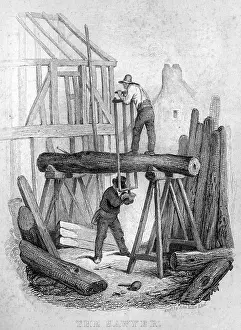 Sawing: Book of Trades, The Sawyer