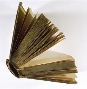 Cobden: BOOKBINDING EXAMPLE - 3