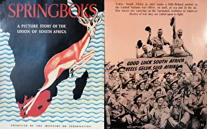 Thumbs: Booklet, Springboks during Second World War