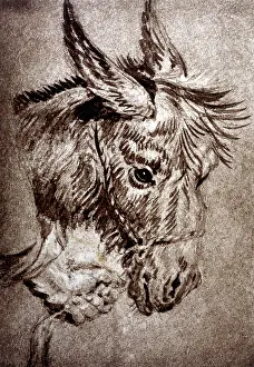 Cevennes: BOOKS/STEVENSON DONKEY