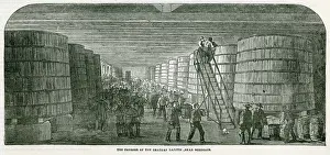 Vats: BORDEAUX WINE GROWING