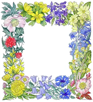 Wording: Border of aconites, violets, cornflower, wild rose