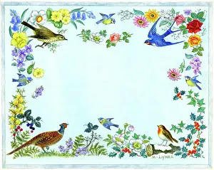 Brambles: Border of birds and flowers of the four seasons