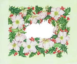 Norma: Border of Christmas Roses and Holly