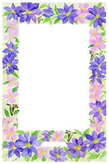 Clematis: Border of Clematis with Goldfinches
