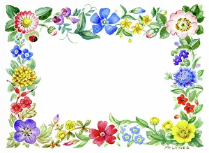 Periwinkle: Border of daisy, periwinkle, cornflower etc