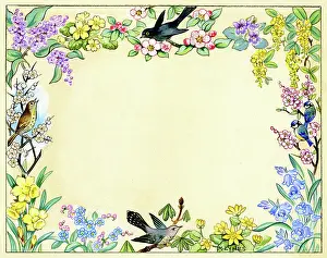 Blackthorn: Border design with birds and spring flowers