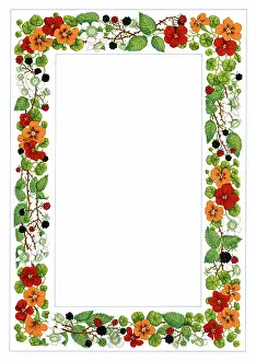 Blackberries: Border design - blackberries and nasturtiums