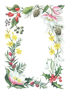 Cones: Border design with Christmas roses etc