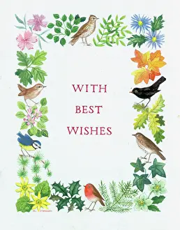 Sprays: Border design with flowers and six birds
