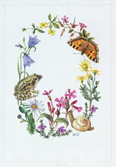 Campion: Border design with frog, harebells, snail, etc