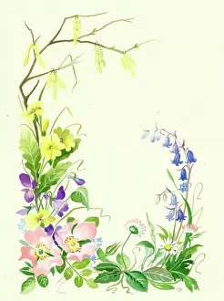 Hazel: Border design with hazel catkins etc