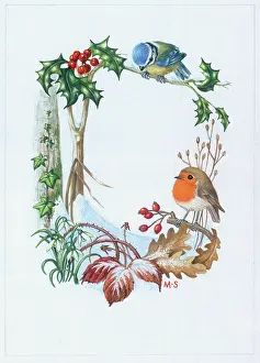 Brambles: Border design with holly, blue tit, robin etc