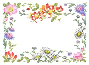 Lynes: Border design with honeysuckle and daisies
