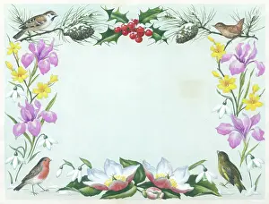Cones: Border design with iris, snowdrops, holly & birds