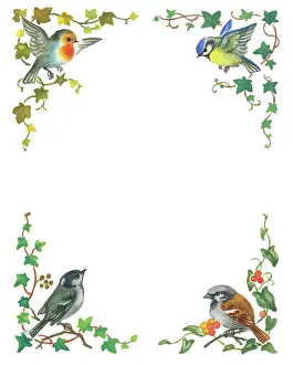 Lynes: Border design with ivy and a bird at each corner