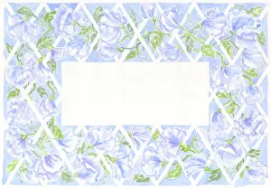 Peas: Border design of pale blue sweet peas
