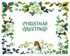 Lynes: Border design with robin and Christmas roses