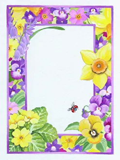 Violas: Border design of spring flowers