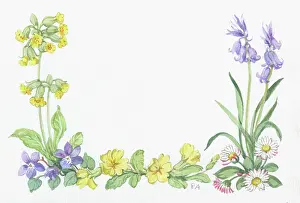 Cowslips: Border design of spring flowers